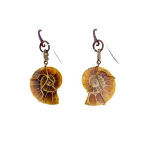 merak - ammonite earrings pic1